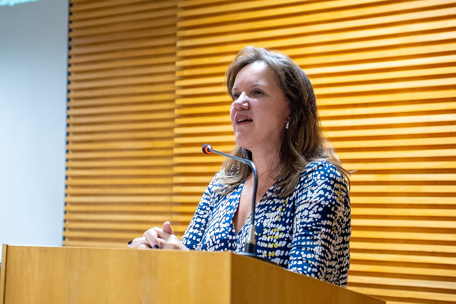 Palestra no Mestrado da FGV EPPG, foto 14 de 35
