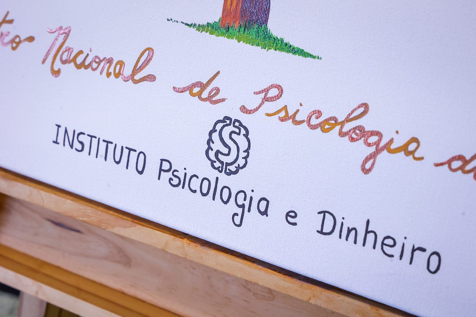 II Encontro Nacional de Psicologia do Dinheiro na Prática Clínica — foto 23 de 47